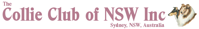 The Collie Club of New South Wales Inc, Sydney, Australia