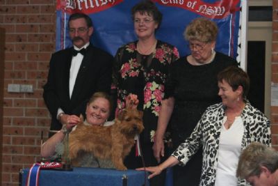 Winning 2008 terrier of the year