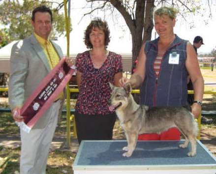 Grand Champion Dlarah Witchcraft after winning Best in Show