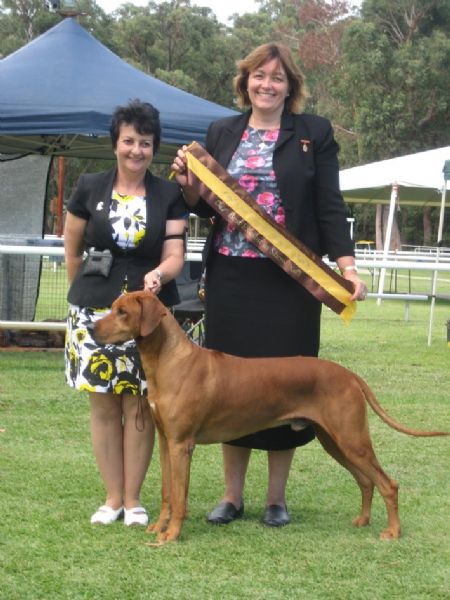Best in Show RR Specialty Newcastle 10/4/11